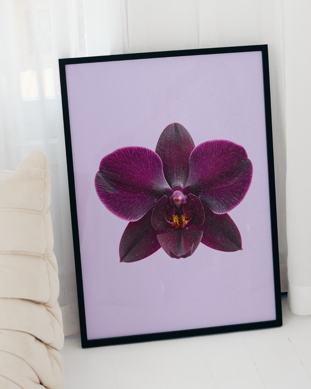 VIOLET ORCHID art print