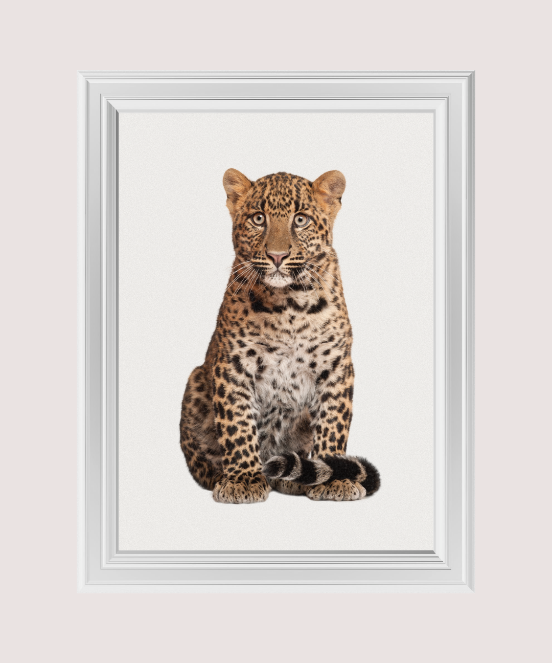 102_22a9f9ce-d7f4-4150-8f75-fa3482aec28b.png