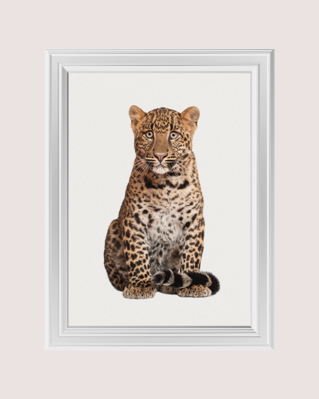 LEOPARD art print