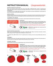 WHIMSICAL TOMATO LAMP - lampa ve tvaru rajčete