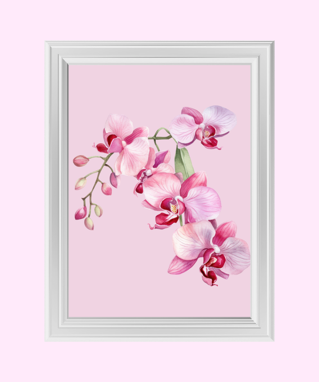 117_03d854ff-e4b5-4e2c-b2e2-b0b9412852a6.png