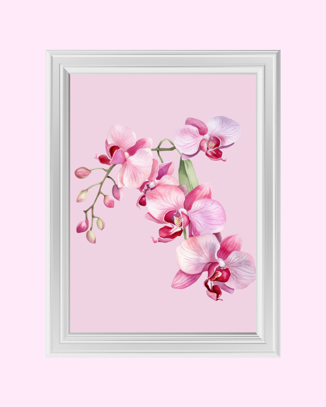 PINK ORCHID art print