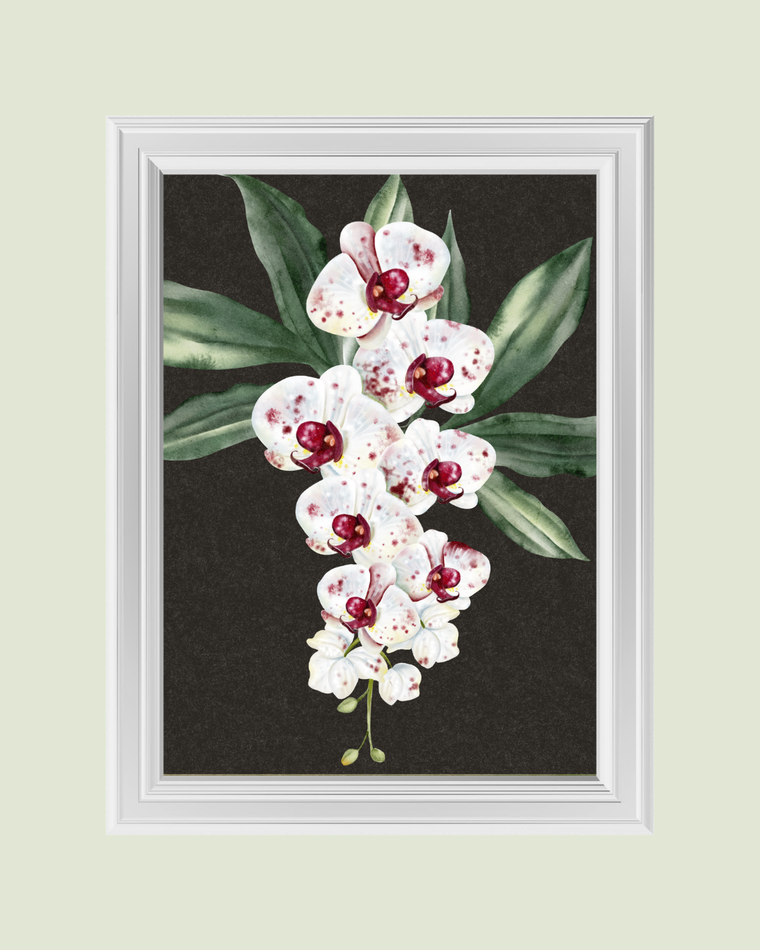 White Orchids Dark art print