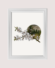 BLOSSOM KEEPSAKE art print