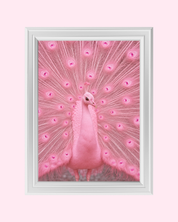 Pink Peacock art print