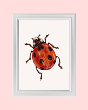LADYBUG art print