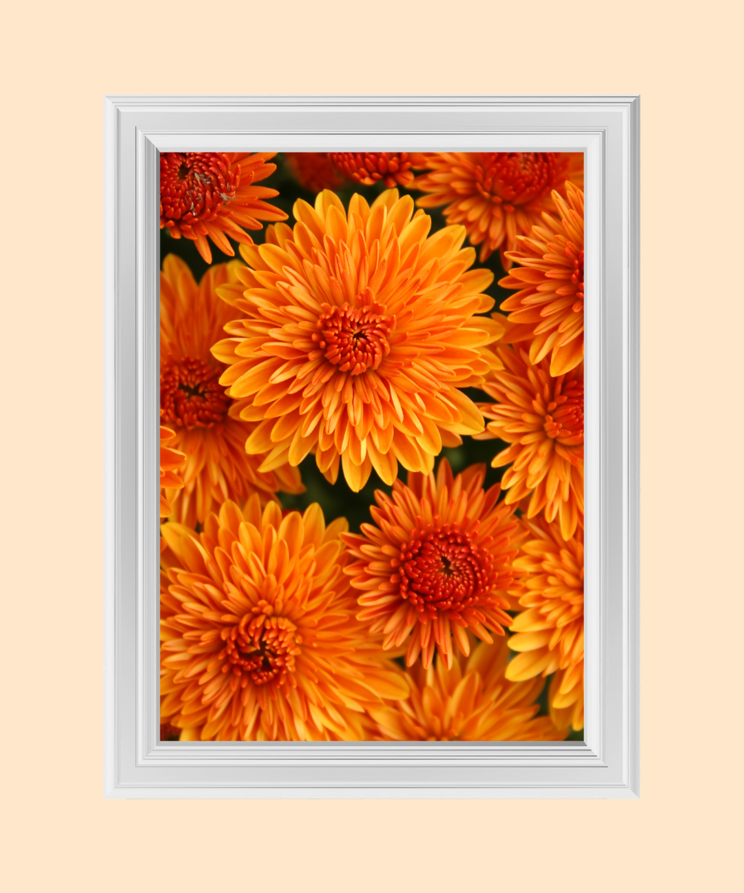150_2269c710-0f39-48b5-a818-344025069f49.png