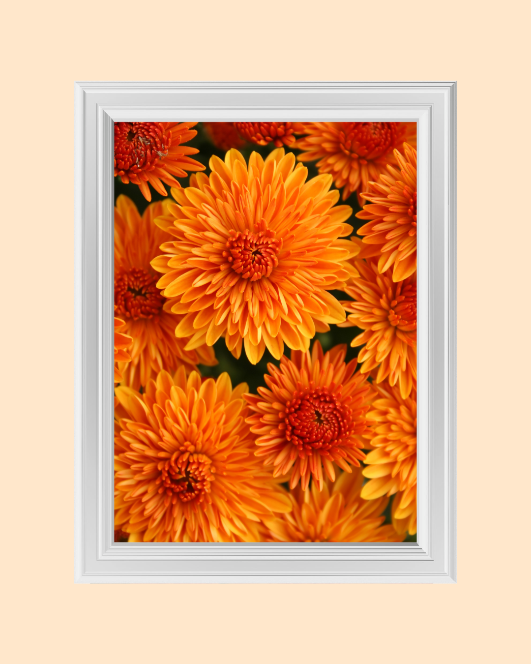 ORANGE FLOWERS art print
