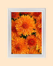 ORANGE FLOWERS art print