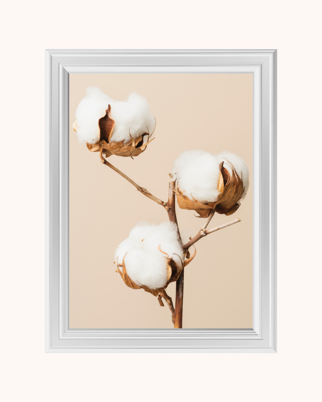 COTTON art print