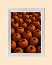 PUMPKIN FIELD art print