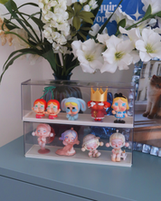 SEETHROUGH STORAGE BOX for collectibles