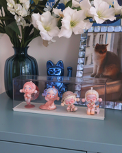 SEETHROUGH STORAGE BOX for collectibles