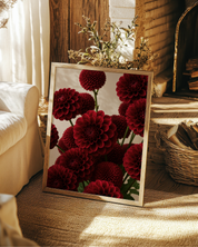 Burgundy Dahlias art print