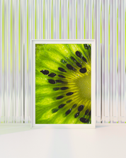 KIWI MACRO art print