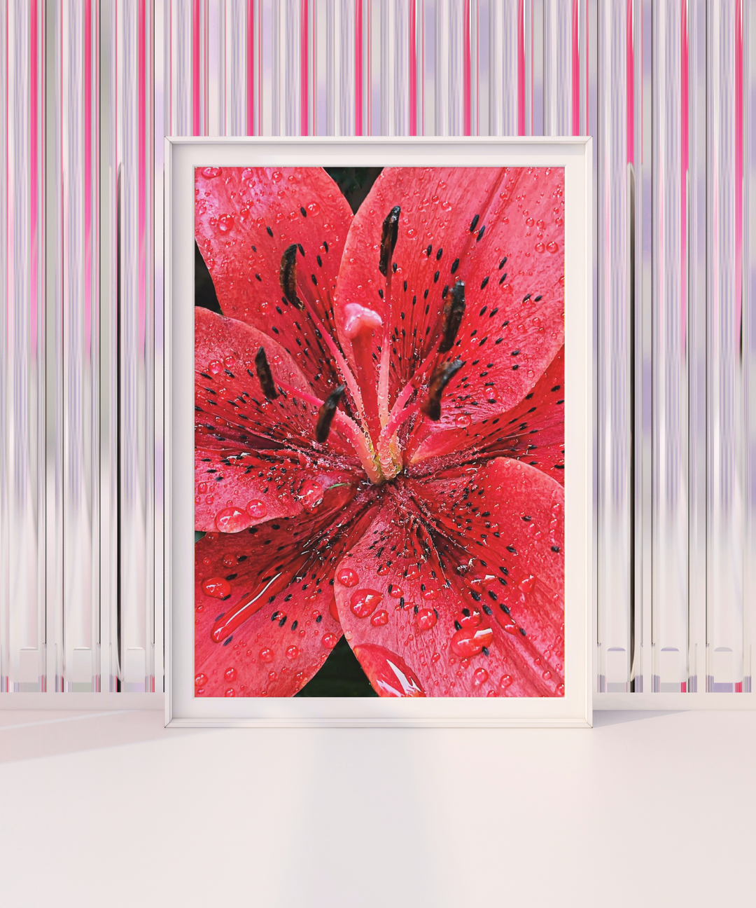 40_350aa0fd-52f0-403d-9bee-feb354885398.png