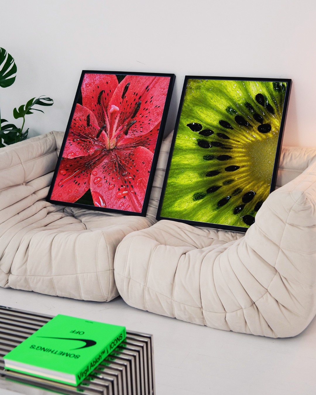 KIWI MACRO art print