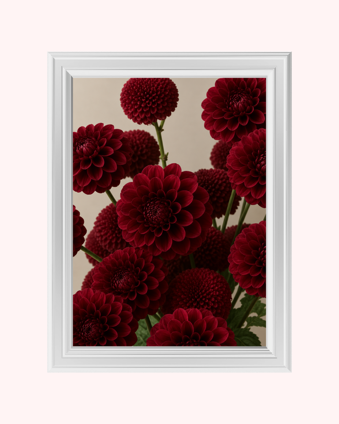 Burgundy Dahlias art print