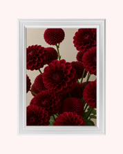 Burgundy Dahlias art print