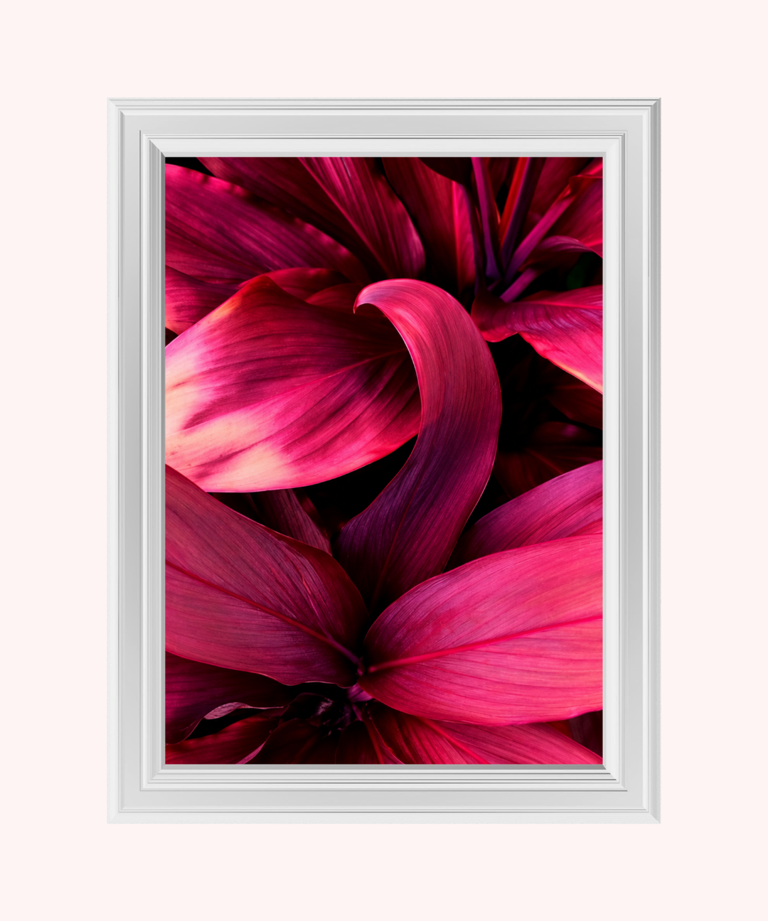 49_5d9c665e-4762-4e10-8f06-b2cae01bae62.png