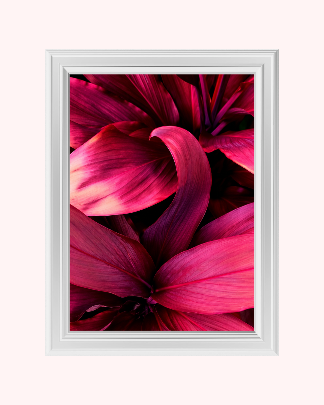 Pink Tropical Leaves art print