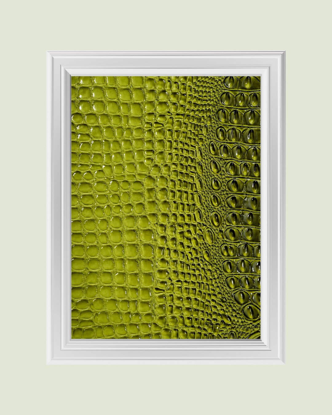 Olive Croc art print
