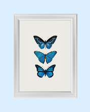 THREE BUTTERFLIES art print