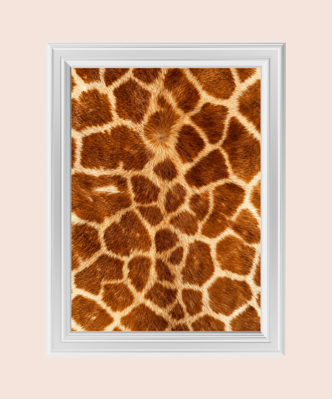 59_7012ca82-8fad-49b6-b4ed-1d17fb26b619.png