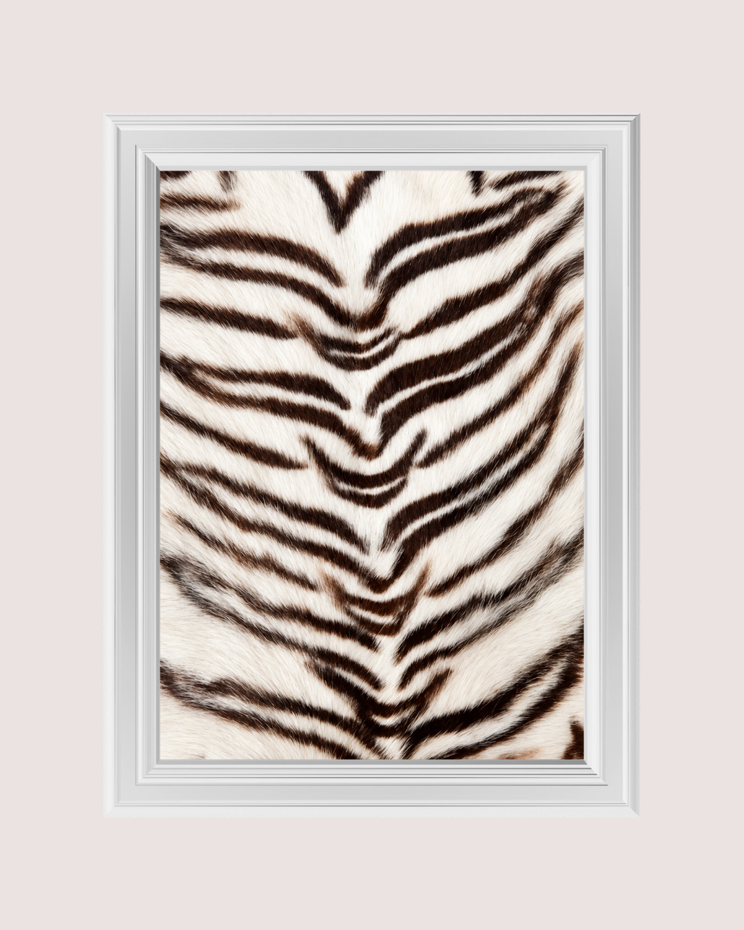 White Tiger Fur art print