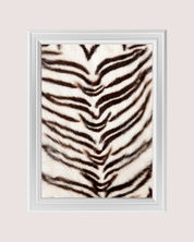 White Tiger Fur art print
