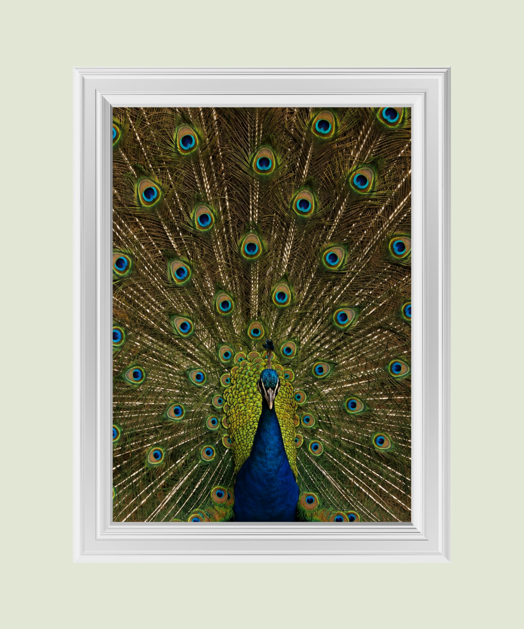 61_012bb6cc-7cc2-4906-996d-d95f06c58b93.png