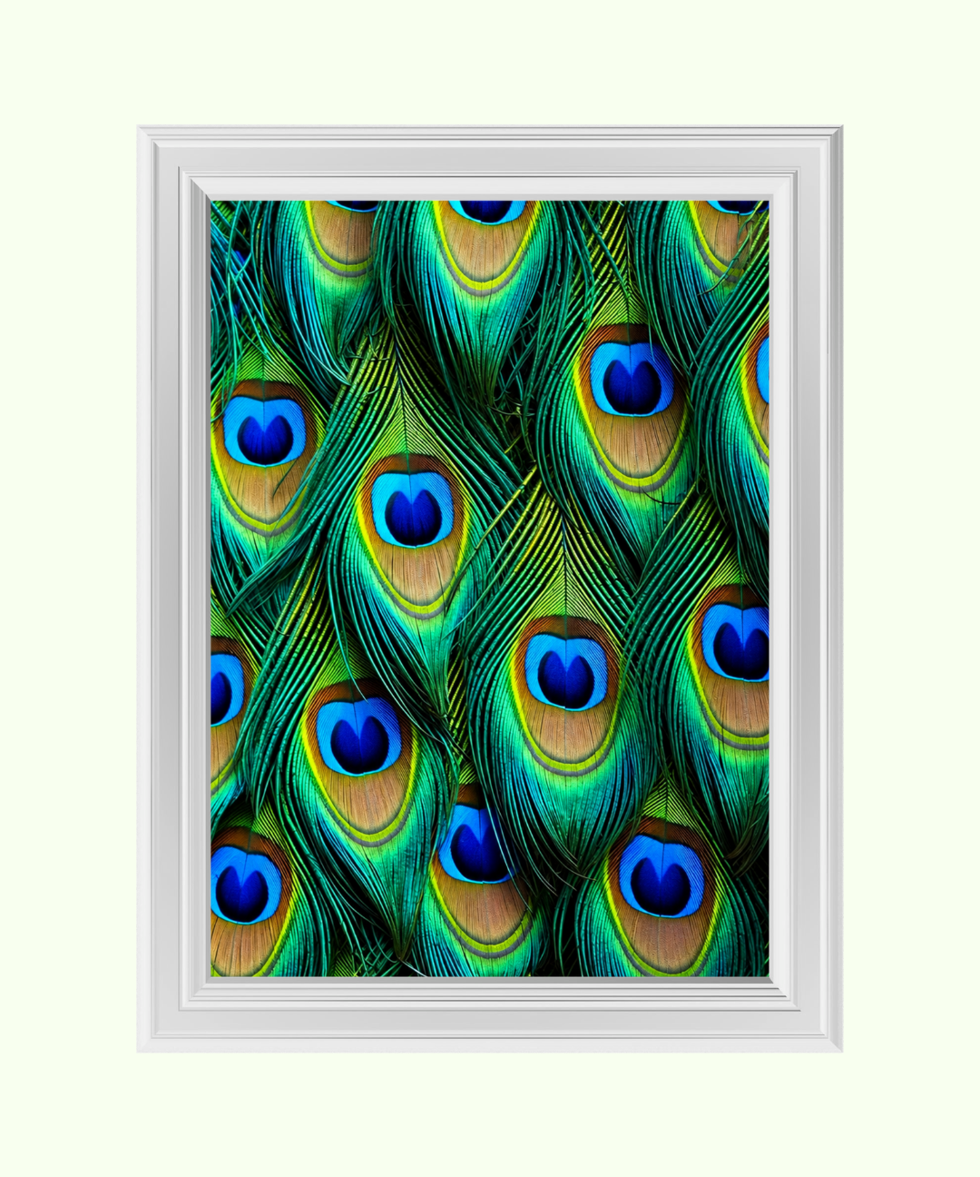 63_3e6897a8-ce94-44f4-a6e2-f3252c103097.png