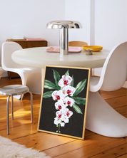 White Orchids Dark art print