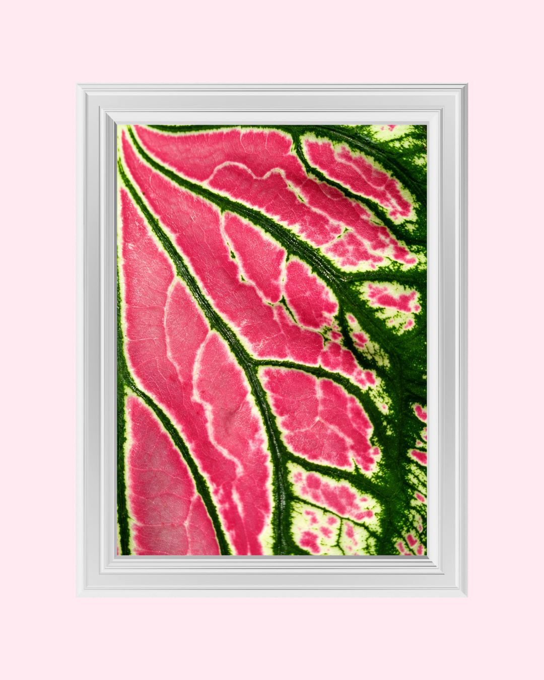 Pink Green Leaf art print