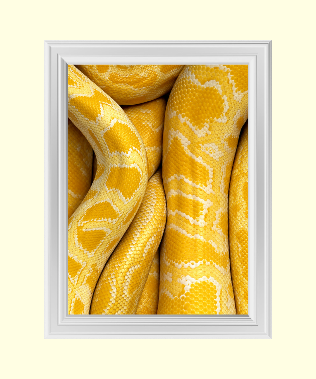 66_afbeb7aa-f7bb-4aa0-ba4e-9e7c97189466.png