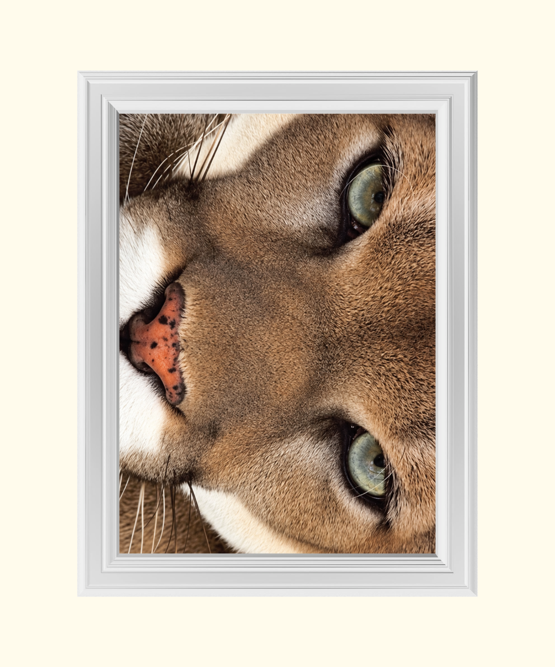 67_4793b606-e6d1-472f-9f6a-d2d3e39a4cb7.png