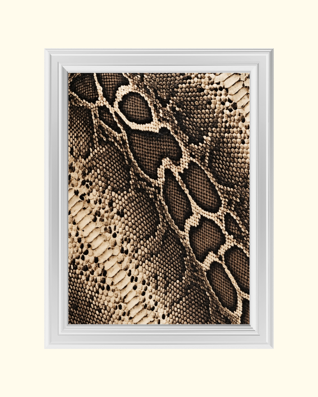 Snake Skin art print