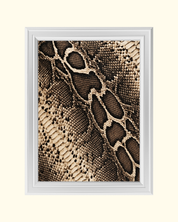 Snake Skin art print