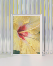 YELLOW HIBISCUS art print