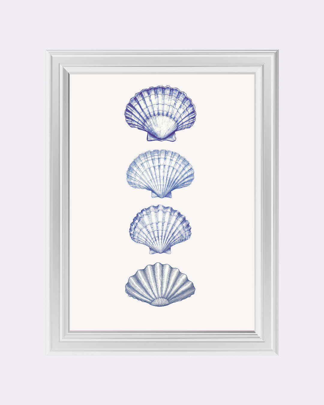 SHELLS art print