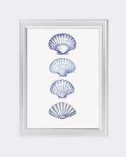 SHELLS art print