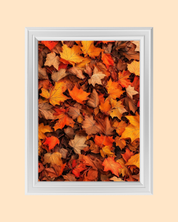 Autumn Leaves art print