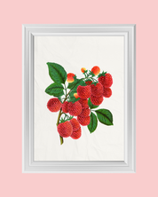 RASPBERRIES art print