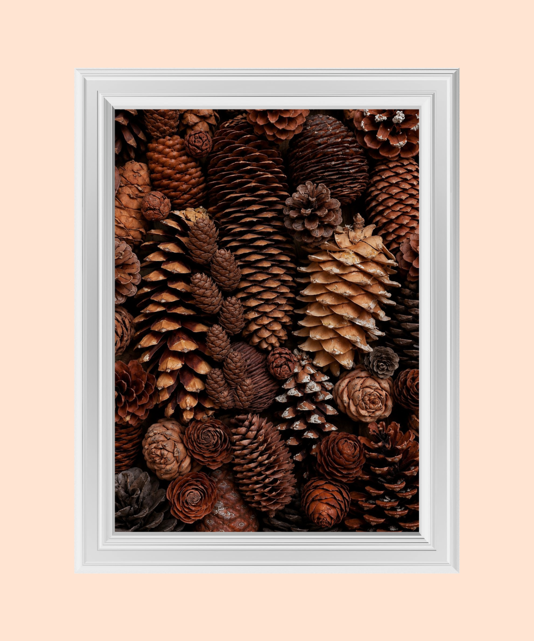 71_d7f09df6-ff2c-4f5e-8910-dbc8e5fbeb04.png