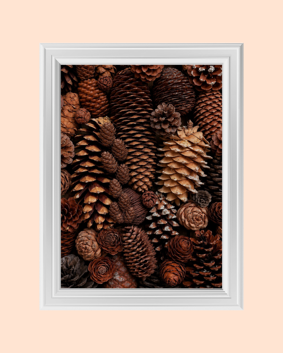 Pine Cones art print