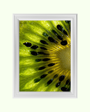 KIWI MACRO art print