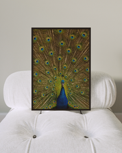 Peacock art print