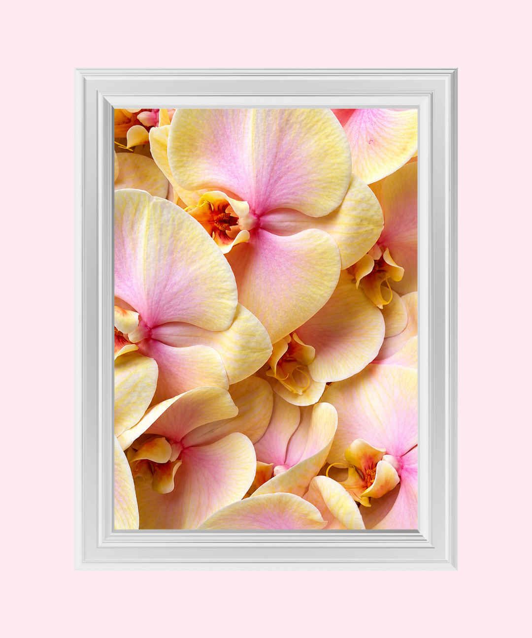 76_a6bfee3a-99cf-4978-8e5d-3b6b8b1cb8ca.png