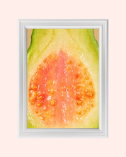Pink Guava art print