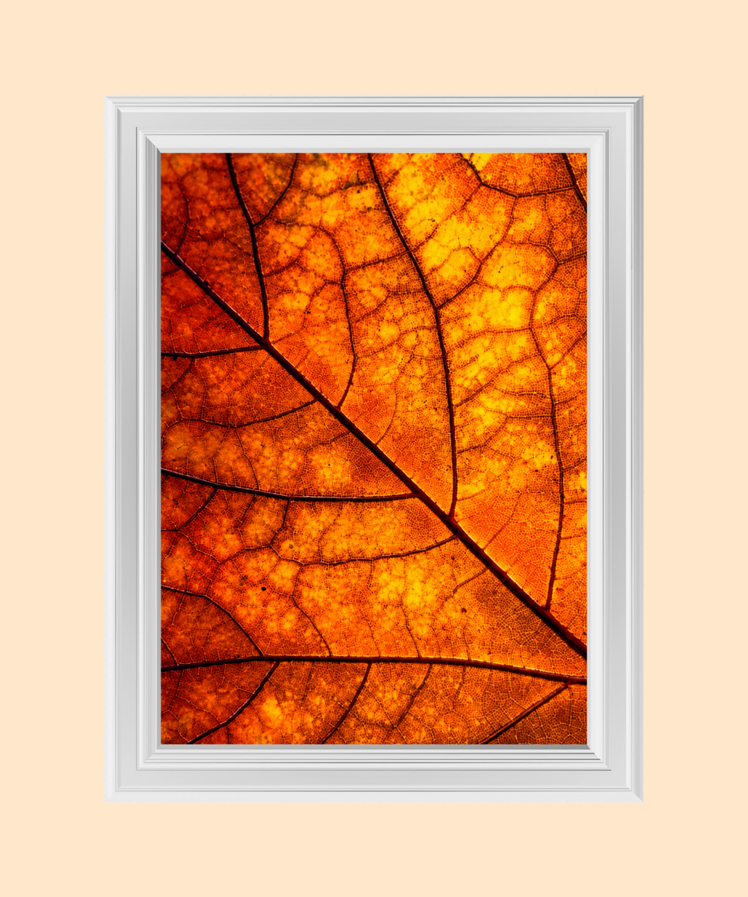 79_534d8bbf-bab7-4a94-9088-9c6e1dfb1a1b.png